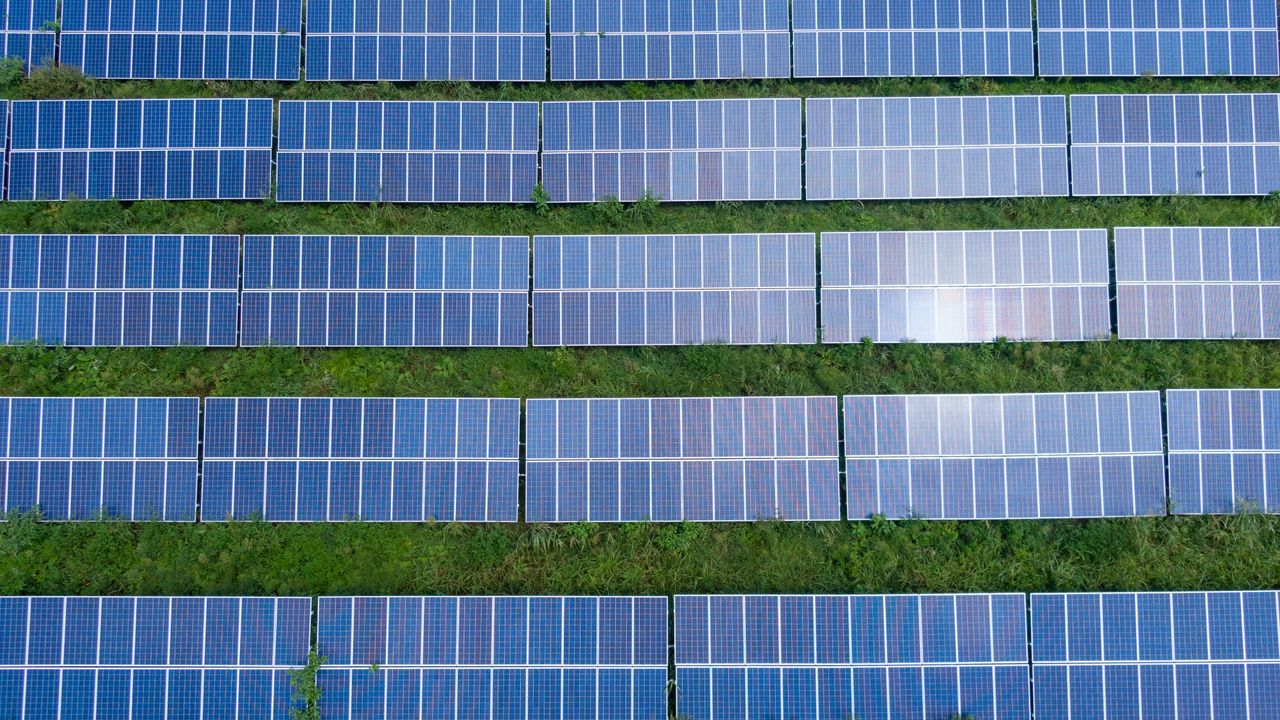 Aerial top-down view of rows of solar panels in a field, showing how a solar array is laid out
